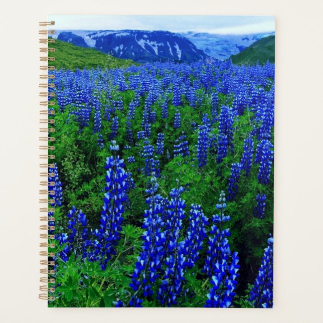 Agenda Campo Flor (Frente)