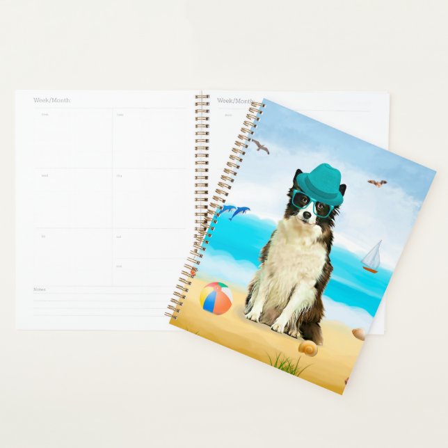 Agenda Cão Border Collie na Praia (Exibição)