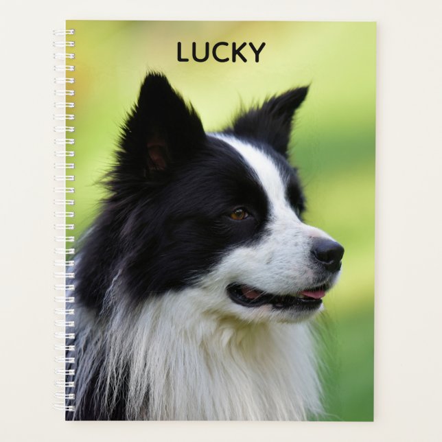 Agenda Cão Border Collie Preto e Branco (Frente)