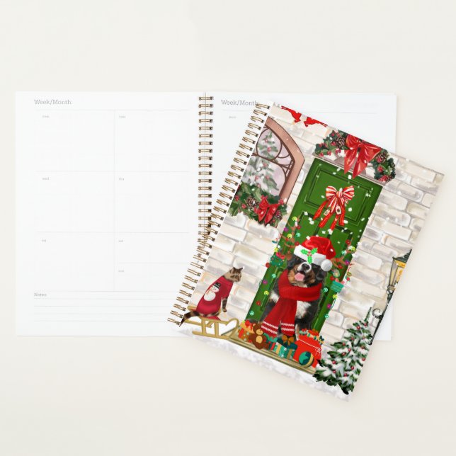 Agenda Cão de Montanha Bernês Natal  (Exibição)