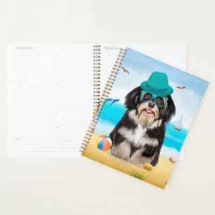 Agenda Cão Havanês na Praia
