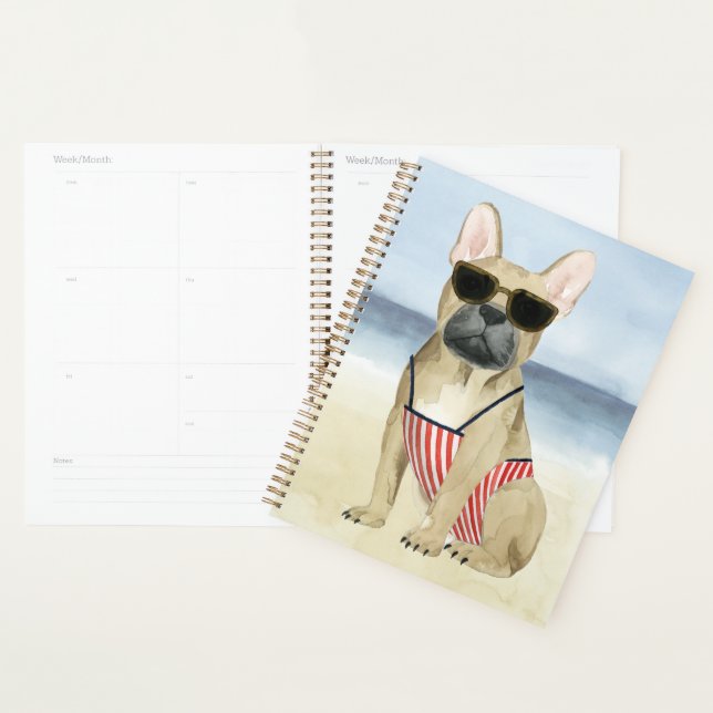 Agenda Cão quente | Cãibras Nos Óculos De Sol Na Praia (Exibição)