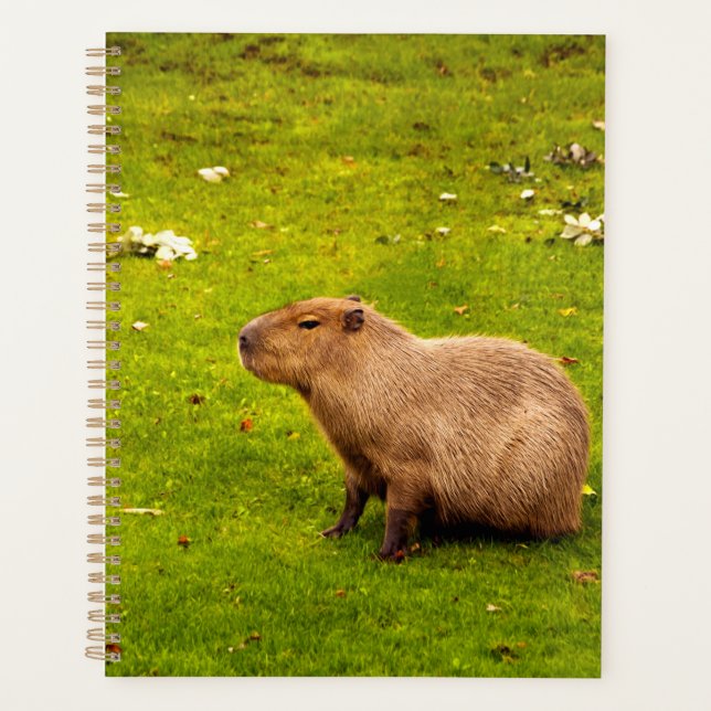 Agenda Capivara (Frente)