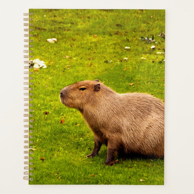 Agenda Capivara (Frente)
