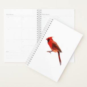 Agenda Cardinal