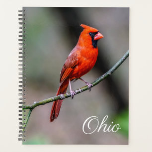 Agenda Cardinal Ohio Weekly/Monthly Planner