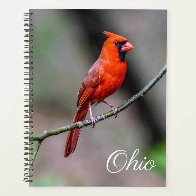 Agenda Cardinal Ohio Weekly/Monthly Planner (Frente)