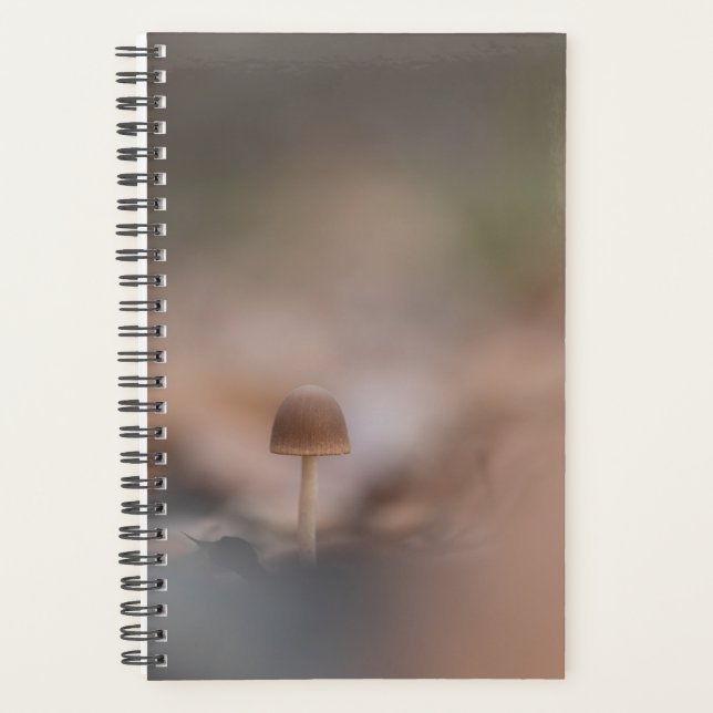 Agenda Cartão com fotos de Mushroom Nature (Frente)