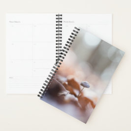 Agenda Cartão com fotos Natureza de Pequeno Cogumelo