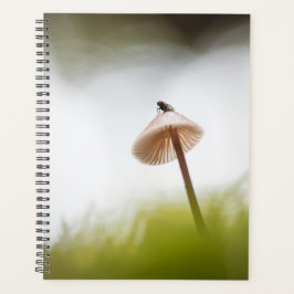 Agenda Cartão de Foto da Natureza de Cogumelo Minúsculo