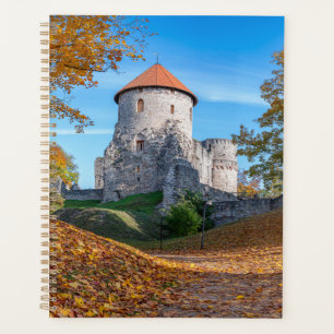 Agenda Castelo medieval cercado por floresta