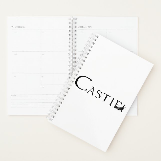Agenda Castiel com pena (Exibição)