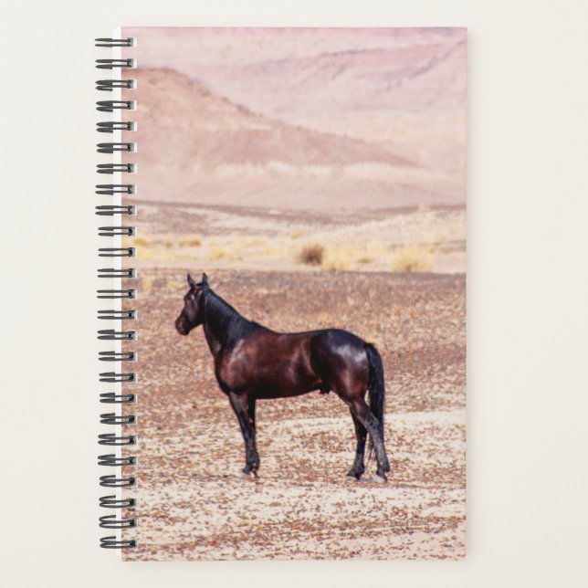 Agenda Cavalo do Deserto P8664 (Frente)