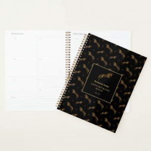 Agenda Cavalo Saltador   Cavalo Rabisco   Treinador de Ca