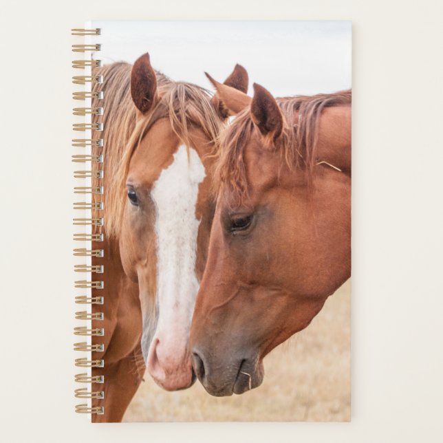 Agenda Cavalos fungando em uma pastagem (Frente)