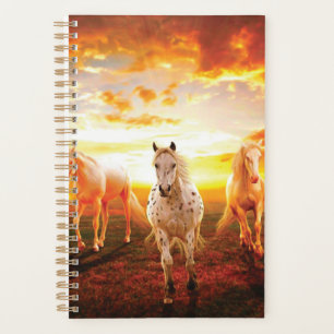Agenda Cavalos no travesseiro decorativo do pôr do sol