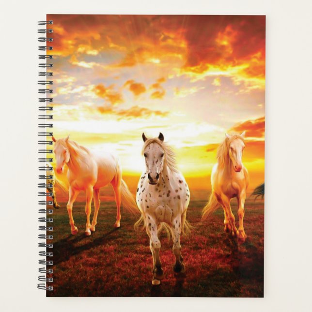 Agenda Cavalos no travesseiro decorativo solar (Frente)