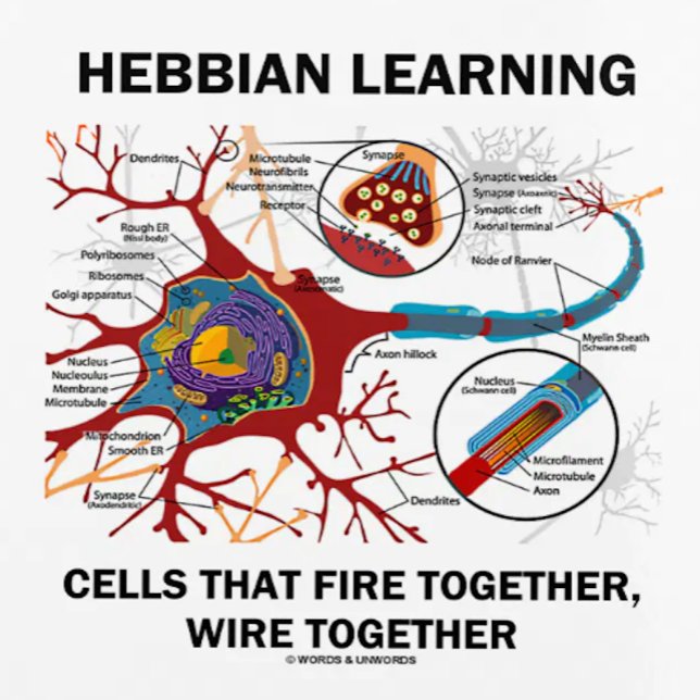 Agenda Células de aprendizado hebbianas disparam juntas s (Showcase your neuropsychological Hebbian learner side with this planner featuring a neuron/synapse)
