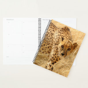 Agenda Cheetah