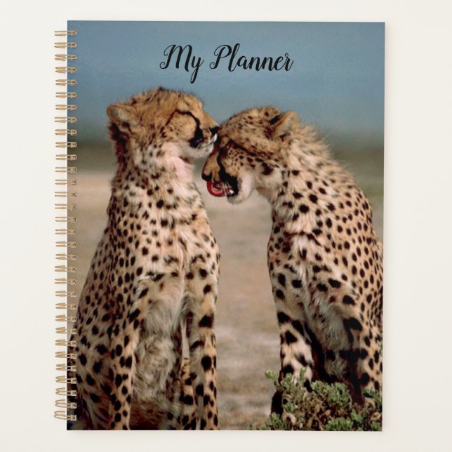 Agenda Cheetahs (Frente)