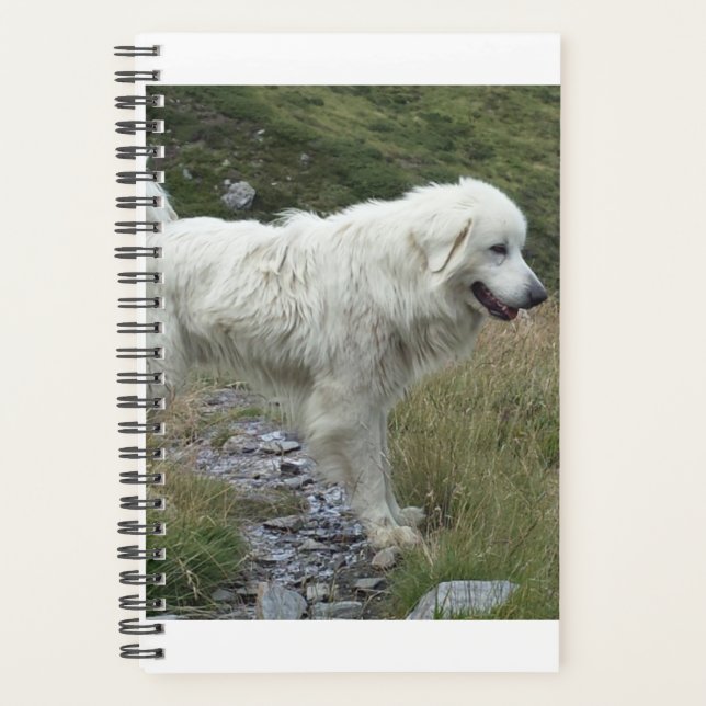 Agenda cheio de folhas excelente (Frente)