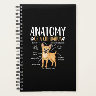 Agenda Chihuahua Dog Anatomy