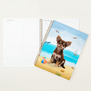 Agenda Chihuahua Dog na praia