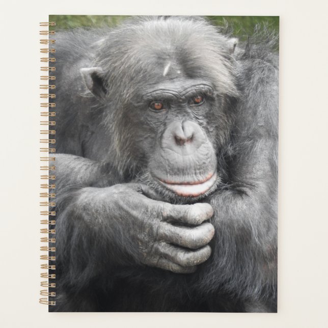 Agenda Chimpanzé Contemplativo (Frente)