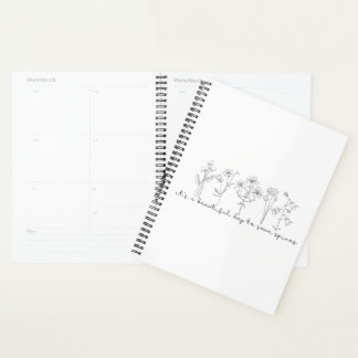 Agenda Chiropractic, Chiropractor, Spine,