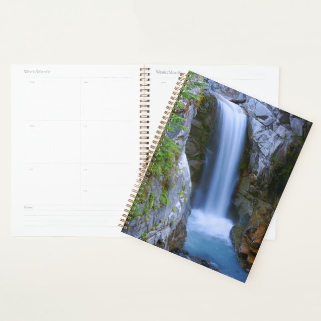 Agenda Christine Falls Cénico (Exibição)