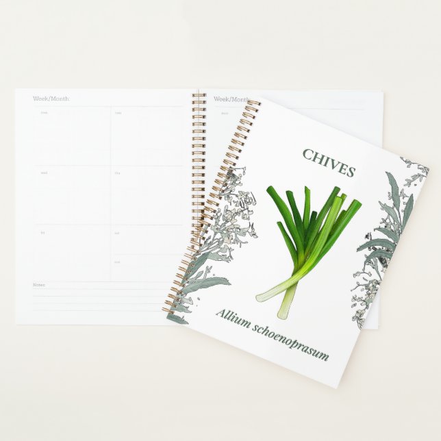 Agenda Ciboulette — Allium schoenoprasum (Exibição)