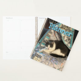 Agenda Cinza e gato branco