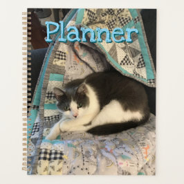 Agenda Cinza e gato branco