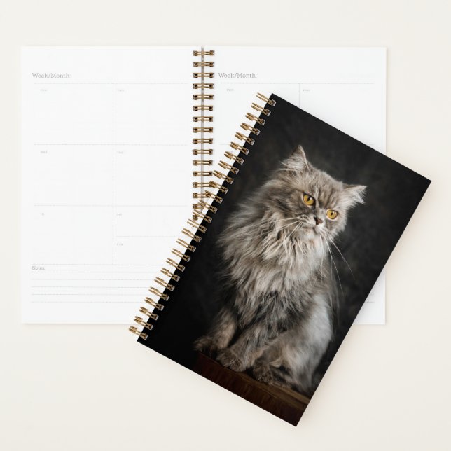 Agenda Cinza Fluffy Cat (Exibição)
