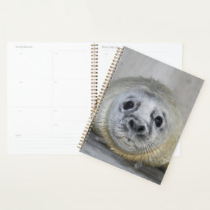 Agenda Cinza Sal Pup
