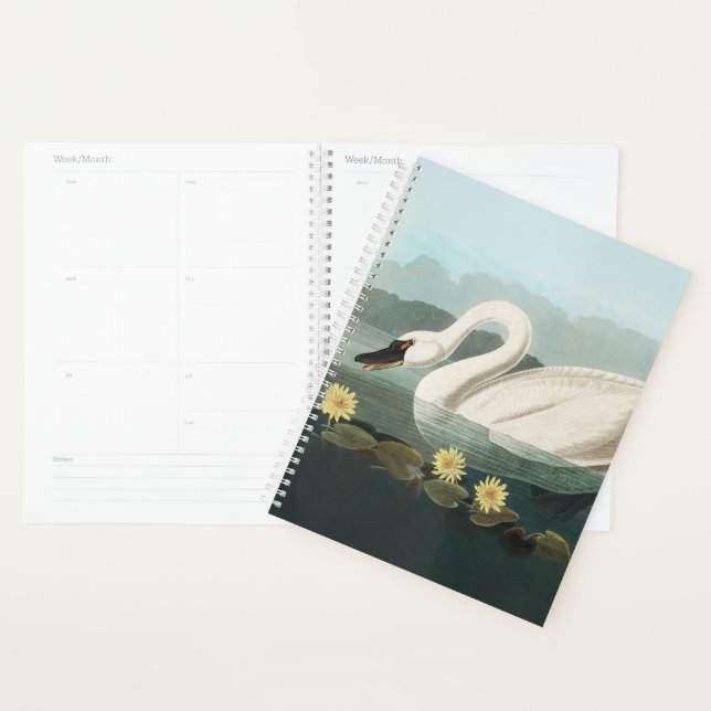 Agenda cisnes brancas de pássaro de audubon do cisne (Exibição)