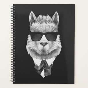 Agenda Classy Llama