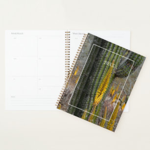 Agenda Close de Cacto e Agave