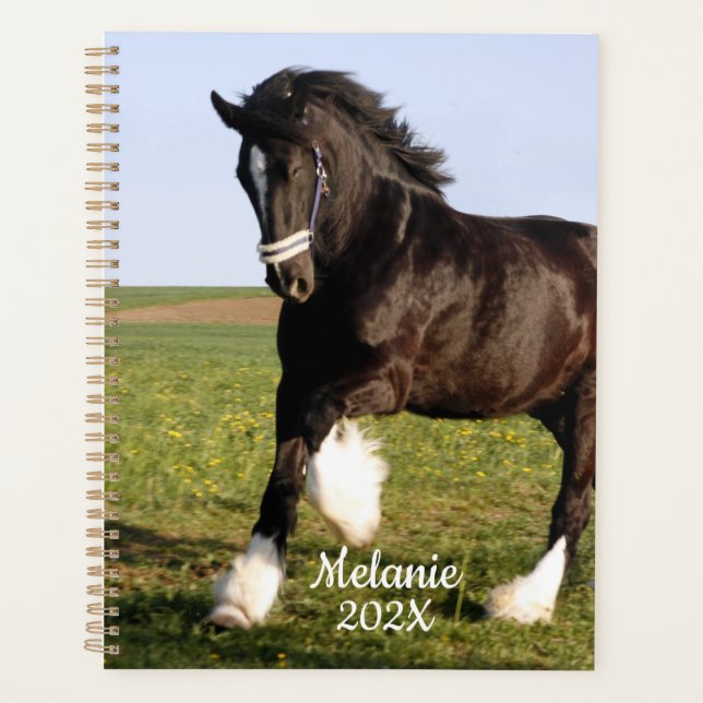 Agenda Clydesdale Horse    (Frente)