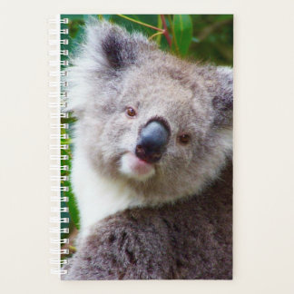 Agenda Cobrir Suave Koala Pequeno, Espiral Branco