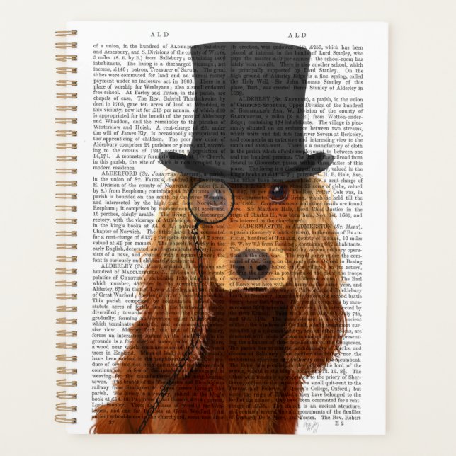 Agenda Cocker Spaniel, Formal Hound e Chapéu (Frente)