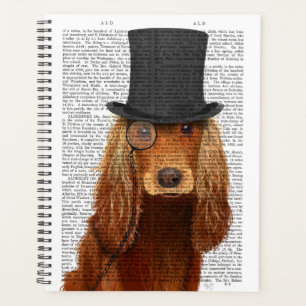 Agenda Cocker Spaniel, Formal Hound e Chapéu
