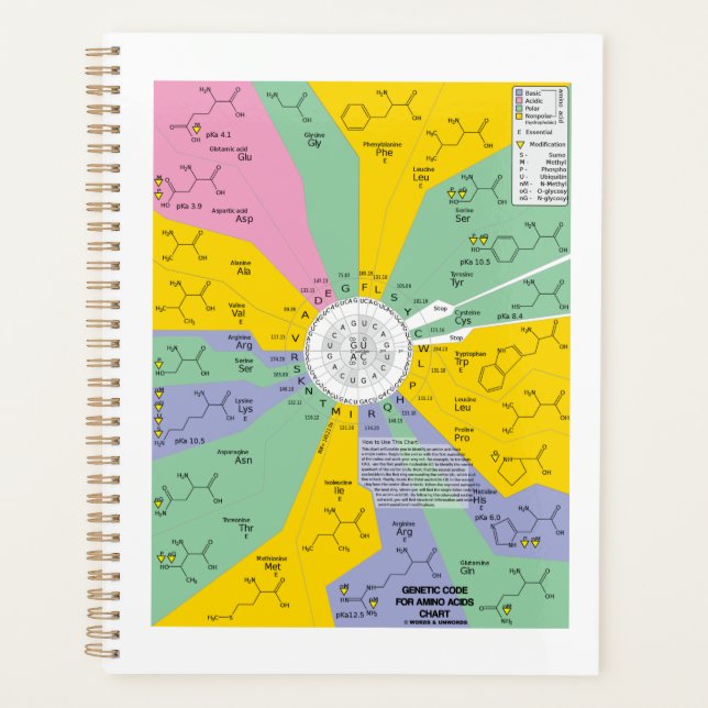 Agenda Código Genético Da Roda Do Gráfico Dos Aminoácidos (Frente)