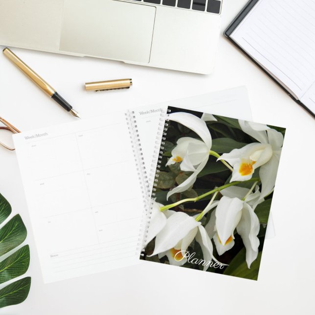 Agenda Coelogyne Mooreana Orchid Blooms Floral (Criador carregado)