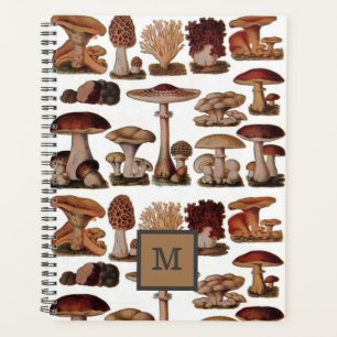 Agenda cogumelo botânico francês vintage