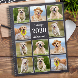 Agenda Colagem de Fotografias do Diário Pet Cachorro Rus