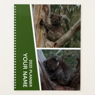 Agenda Colagem de Fotos de Koala Austrália, Verde 2025