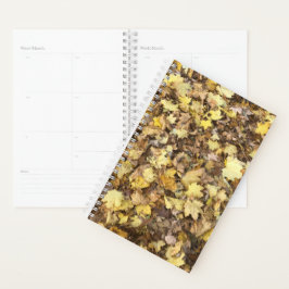 Agenda Coleção de Folhas Amarelas do outono