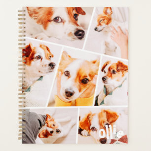 Agenda Coleta Foto de Colagem de Imagens Personalizadas M