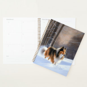 Agenda Collie, deixa nevar o Natal